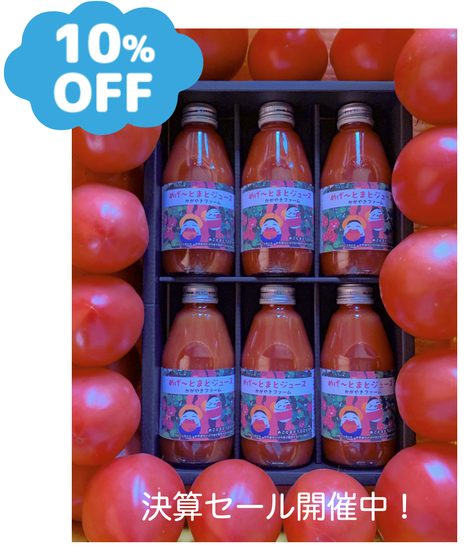 決算セール開催中